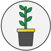 plant rental and maintenance